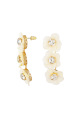 Blanc Image5