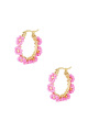 fuchsia Image3