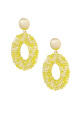 Jaune Image6