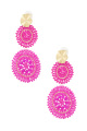 fuchsia Image7