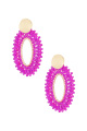 fuchsia Image5
