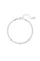 couleur argent Image2