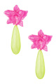 fuchsia Image5