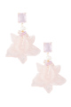 Rose bébé Image3