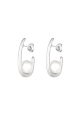 couleur argent Image2
