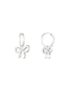 couleur argent Image2