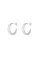 couleur argent Image2