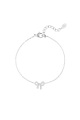 couleur argent Image2