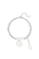 couleur argent Image2