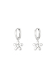 couleur argent Image2
