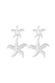 couleur argent Image2