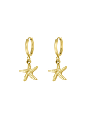 Boucles D'oreilles Simple Étoile De Mer h5 