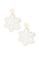 Blanc Image2