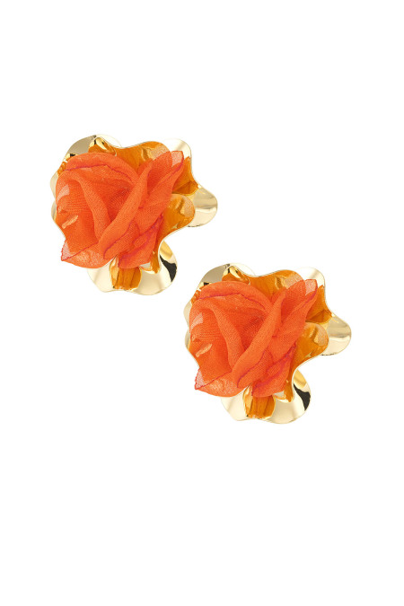 Boucles D'oreilles Foncées