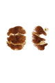 Brun Image2
