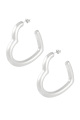 couleur argent Image2