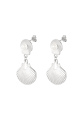 couleur argent Image2
