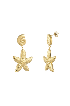 Boucles D'oreilles Plage Étoilée - Doré h5 