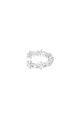 couleur argent Image2
