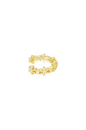 Boucle D'oreille Floral Shine h5 
