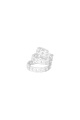 couleur argent Image2