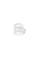 couleur argent Image2