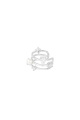 couleur argent Image2