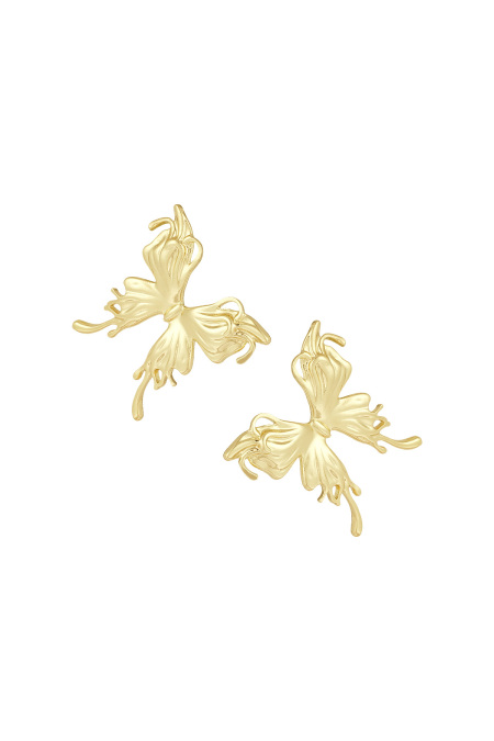 Boucles d'oreilles ailes élégantes