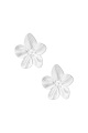 couleur argent Image2