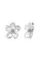 couleur argent 