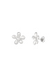 couleur argent Image2