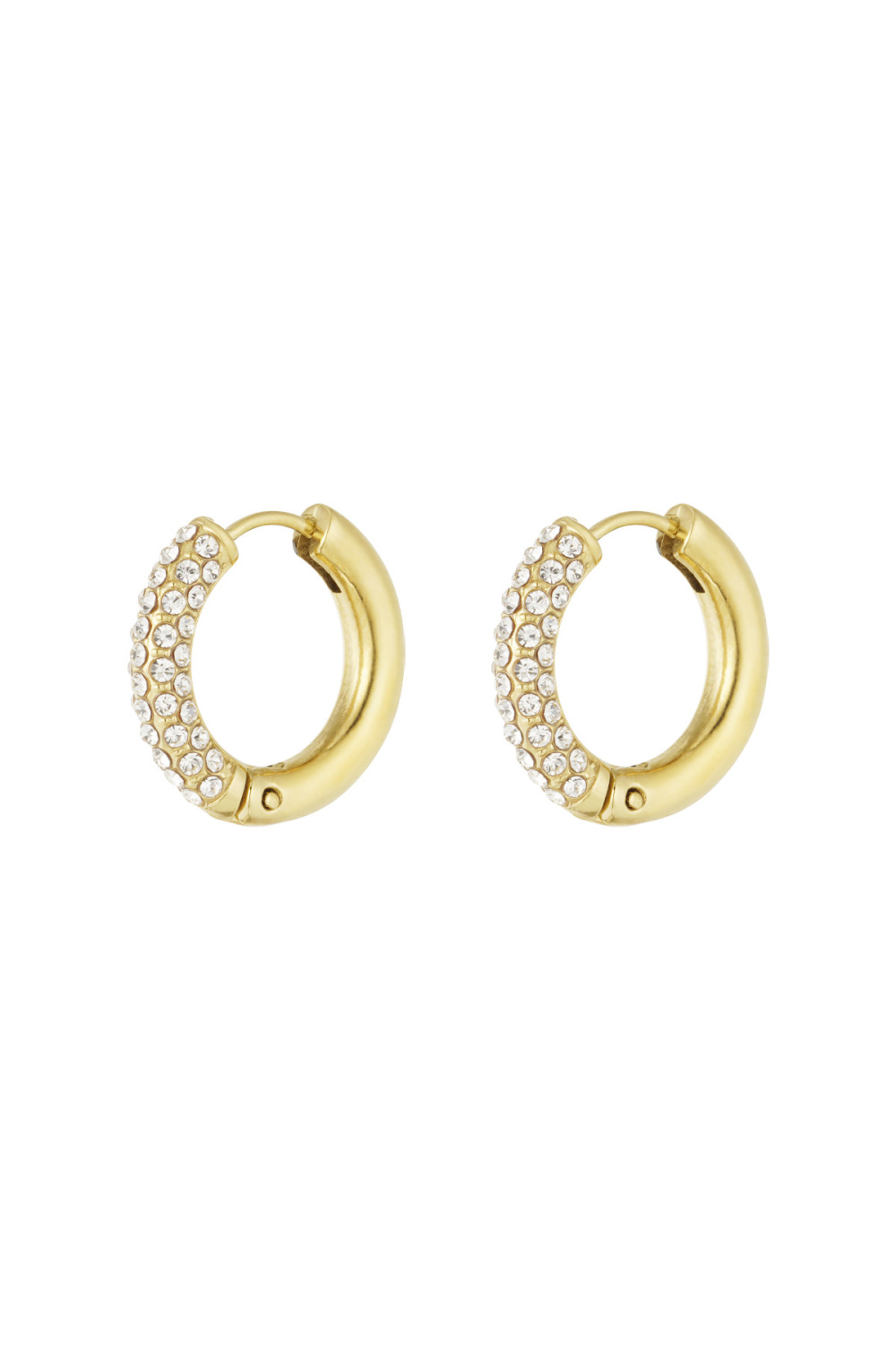 Boucles D'oreilles Shiny Rings