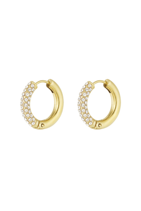 Boucles d'oreilles Shiny Rings