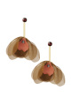Brun Image3