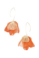 orange Image4