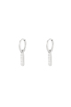 couleur argent Image2