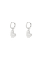 couleur argent Image2