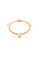 orange Image5