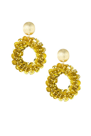 Boucles D'oreilles À Paillettes Scintillantes h5 