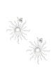 couleur argent Image2