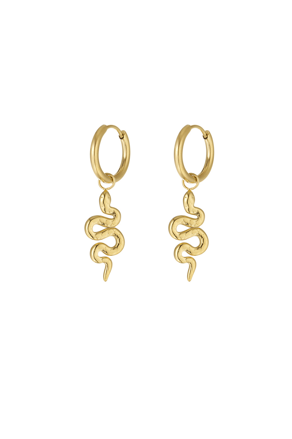 Boucles D'oreilles Âme De Serpent 