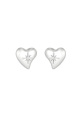 couleur argent Image2