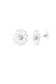 couleur argent Image2