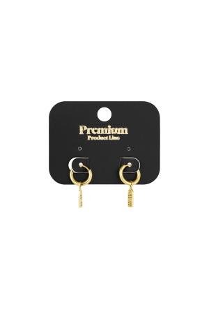 Boucles D'oreilles Maison Amsterdam h5 Image2