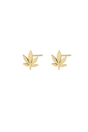 Clous D'oreilles Canna Bliss - Doré h5 