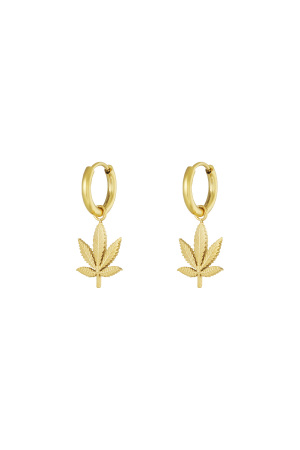 Boucles D'oreilles Canna Bliss h5 