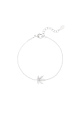couleur argent Image2