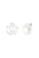 couleur argent Image2