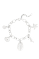 couleur argent Image2