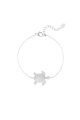 couleur argent Image2